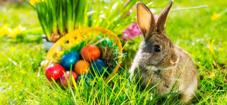 xr:d:DAEWNASP0MY:59,j:48398587003,t:23030819