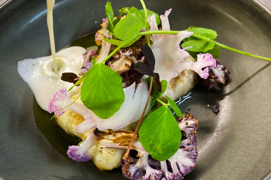 Torsk alm. hovedret_IMG_3505-3